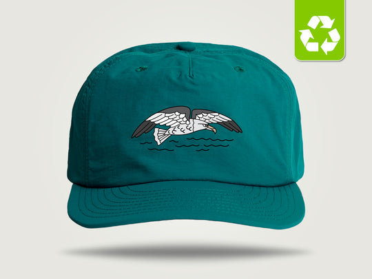 Wai Cap - Albatross