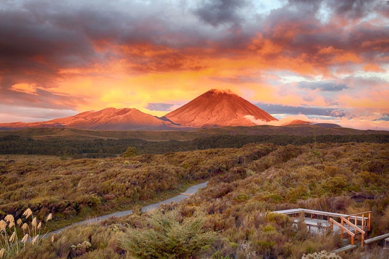 Tongariro